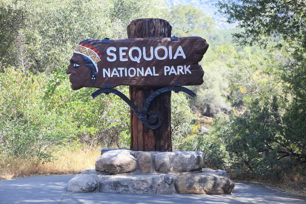 Sequoia NP